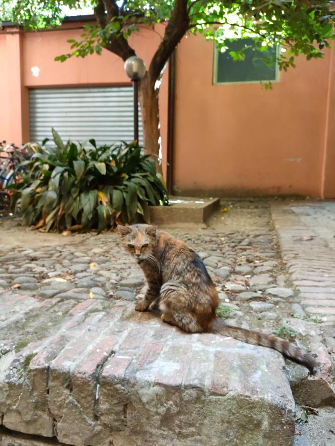 Il Sitarein Apartamento Bolonha Exterior foto